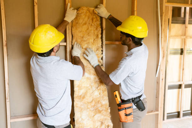 Types of Insulation We Offer in Squaw Valley, CA