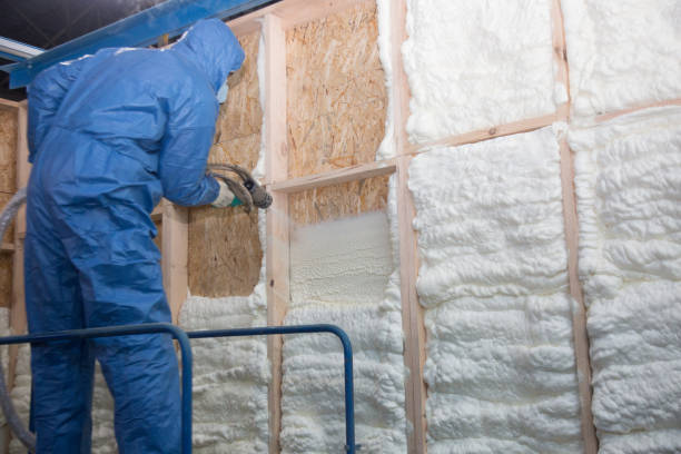 Best Spray Foam Insulation in Squaw Valley, CA